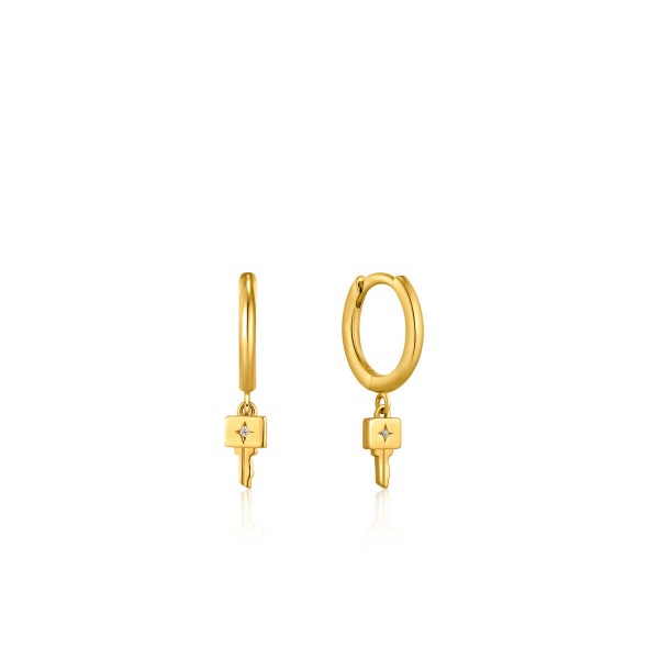 Γυναικεία Σκουλαρίκια Ania Haie E032-04G 0,5 cm