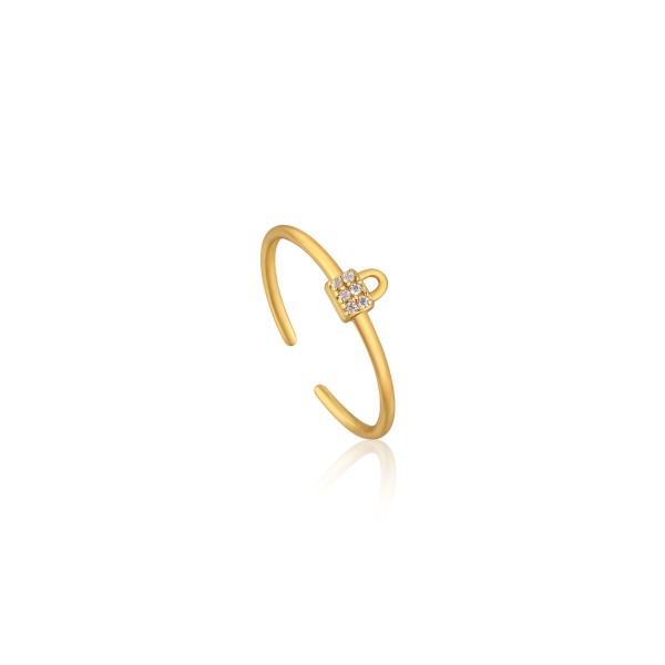 Γυναικεία Δαχτυλίδια Ania Haie R032-02G (13)
