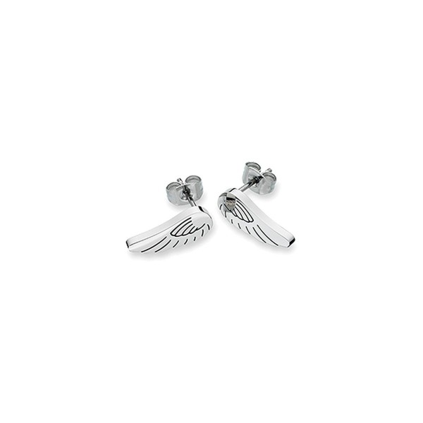 Γυναικεία Σκουλαρίκια AN Jewels AL.EFY02S