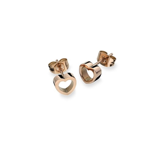 Γυναικεία Σκουλαρίκια AN Jewels AL.ESC01R
