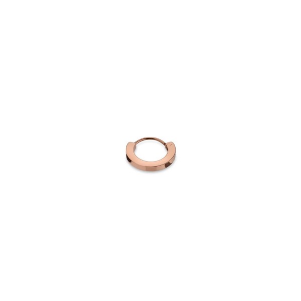Γυναικεία Σκουλαρίκια AN Jewels AS.PH05R