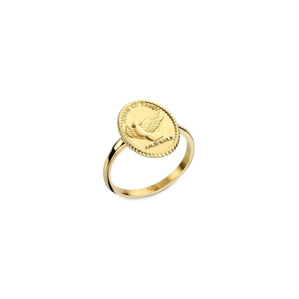 Γυναικεία Δαχτυλίδια AN Jewels AAC.R01Y-6 6