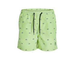 Ανδρικά Μαγιό PSTFIJI JJSWIM MINI STRIPE LY  Jack & Jones 12227350 Πράσινο