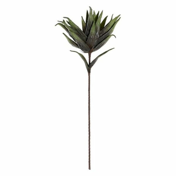 Διακοσμητικό Φυτό DKD Home Decor EVA (35 x 94 cm)