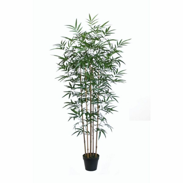Διακοσμητικό Φυτό DKD Home Decor PVC (75 x 70 x 155 cm)
