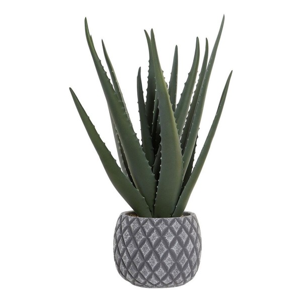 Διακοσμητικό Φυτό DKD Home Decor Αλόη Βέρα πολυαιθυλένιο Πήλινα (20 x 20 x 47 cm)
