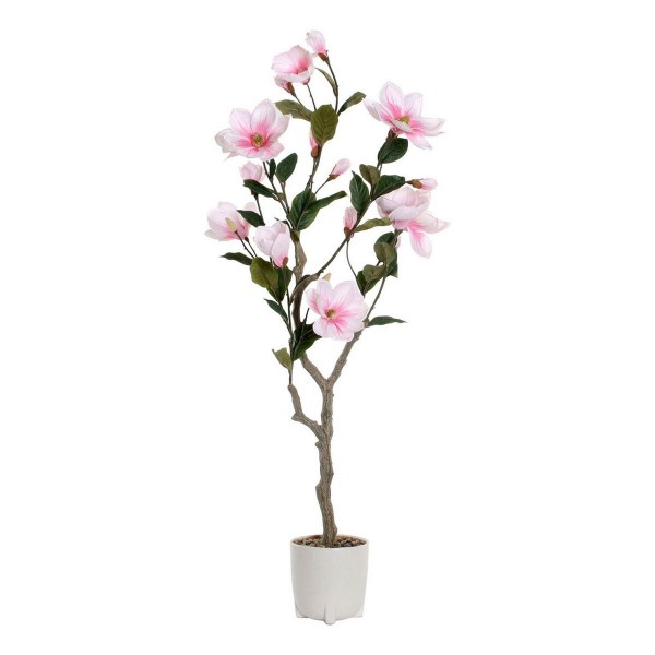 Διακοσμητικό Φυτό DKD Home Decor Magnolia πολυαιθυλένιο Dolomite (40 x 40 x 125 cm)