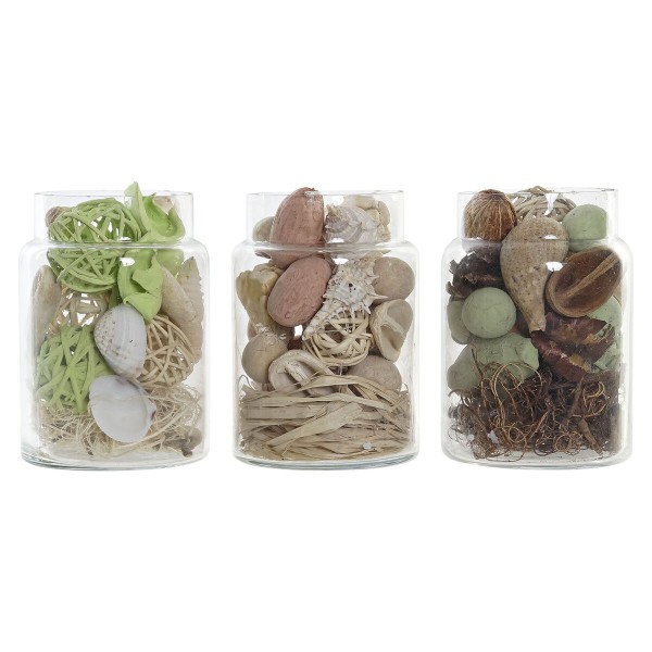 Βάζο DKD Home Decor Κοχύλι Κρυστάλλινο (8,5 x 8,5 x 13 cm) (3 Μονάδες)