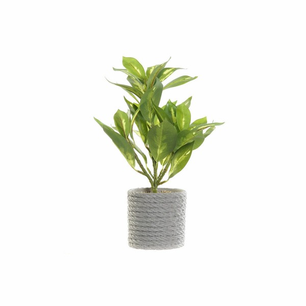 Διακοσμητικό Φυτό DKD Home Decor Πράσινο Γκρι PVC EVA (18 x 18 x 32 cm)
