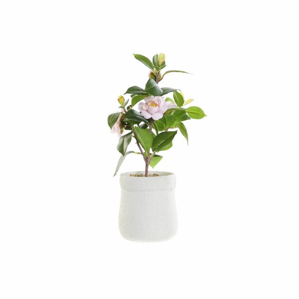Διακοσμητικό Φυτό DKD Home Decor Λευκό Πράσινο Ροζ PVC EVA (23 x 18 x 38 cm)