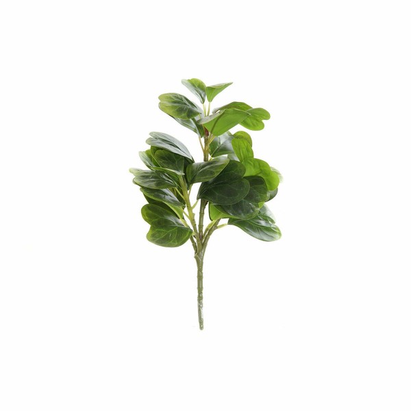 Διακοσμητικό Λουλούδι DKD Home Decor Πράσινο PVC (20 x 15 x 30 cm)