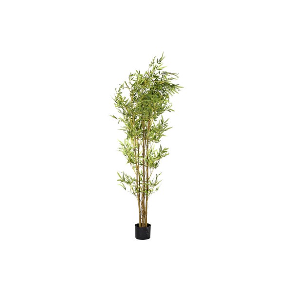Διακοσμητικό Φυτό DKD Home Decor Πράσινο Διακοσμητική κανάτα PE (40 x 40 x 150 cm)