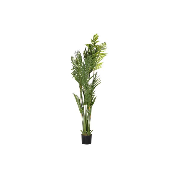 Διακοσμητικό Φυτό DKD Home Decor Φοίνικες Πράσινο PE (50 x 50 x 180 cm)
