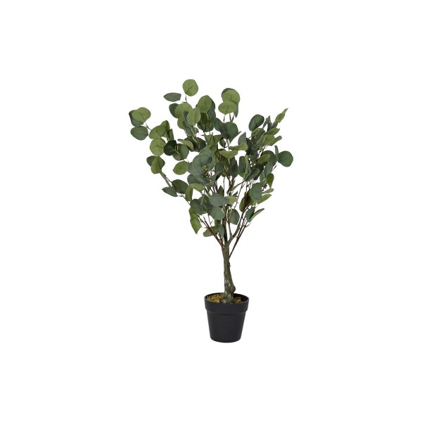 Διακοσμητικό Φυτό DKD Home Decor Πράσινο PE (50 x 50 x 85 cm)