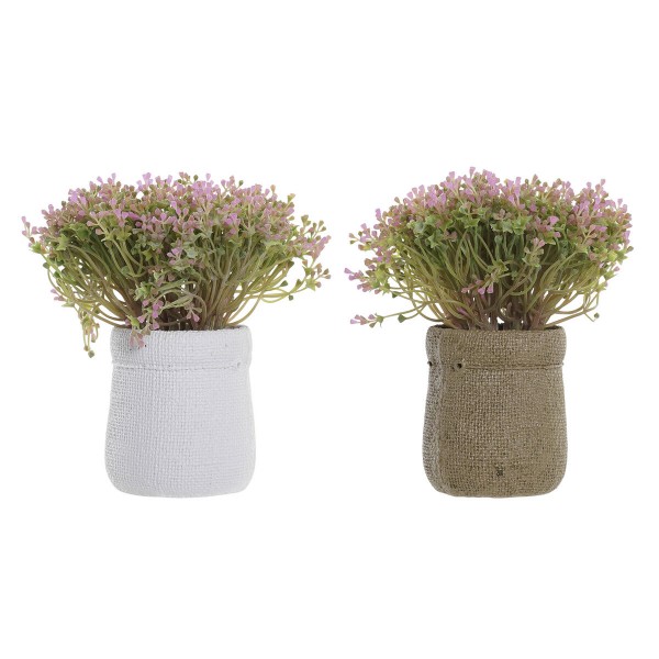Διακοσμητικό Φυτό DKD Home Decor Καφέ Λευκό Πράσινο EVA PE (x2) (20 x 20 x 19 cm)
