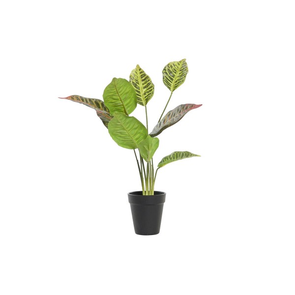 Διακοσμητικό Φυτό DKD Home Decor Πορτοκαλί Πράσινο PE (20 x 20 x 49 cm)