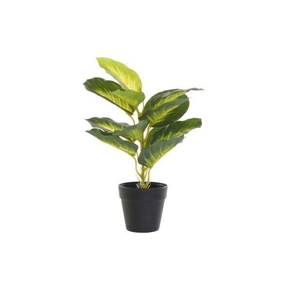 Διακοσμητικό Φυτό DKD Home Decor Μαύρο Πράσινο PVC PP (25 x 25 x 30 cm)