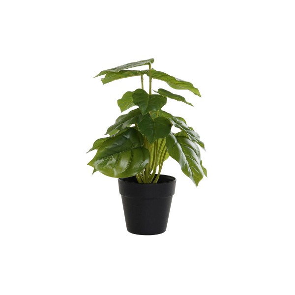 Διακοσμητικό Φυτό DKD Home Decor Μαύρο Πράσινο PVC PP (20 x 20 x 30 cm)