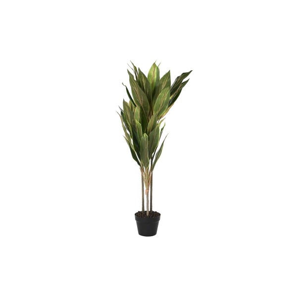 Διακοσμητικό Φυτό DKD Home Decor Dracaena Πράσινο PE (50 x 50 x 120 cm)