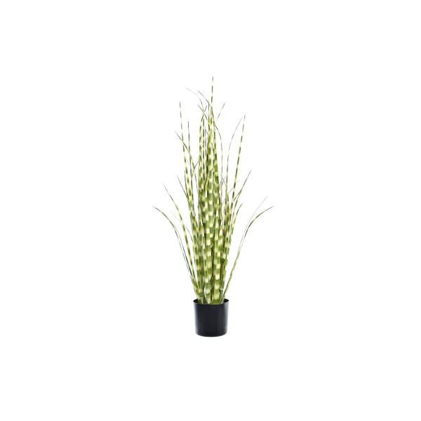 Διακοσμητικό Φυτό DKD Home Decor Πράσινο PVC PE (30 x 30 x 90 cm)