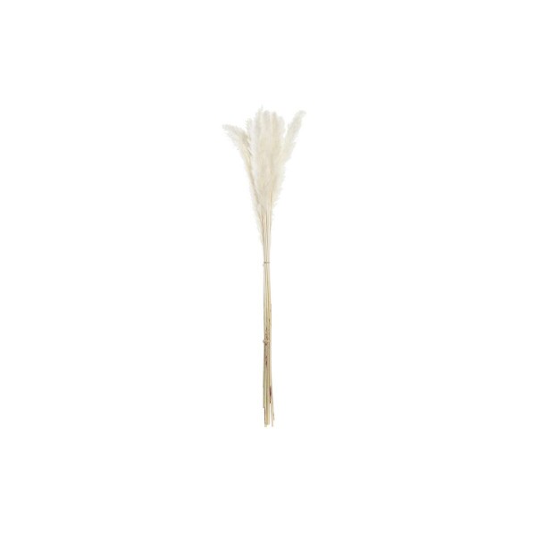Διακοσμητικό Φυτό DKD Home Decor Πινέλο-Βουρτσάκι Παμπάς Λευκό (9 x 3 x 78 cm)