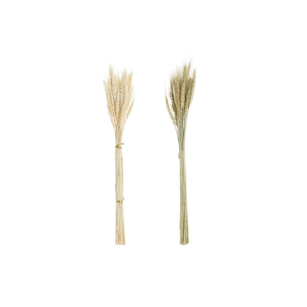 Ανθοδέσμες DKD Home Decor Σιτάρι Σπάικ (8 x 3 x 59 cm) (x2)