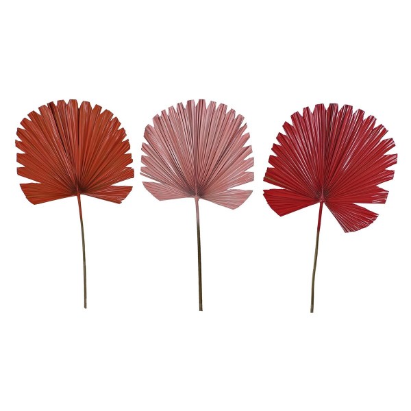 Διακοσμητικό Φυτό DKD Home Decor Φύλλο Παλάμη Κόκκινο Ροζ Πορτοκαλί (50 x 2 x 92 cm) (3 Μονάδες)