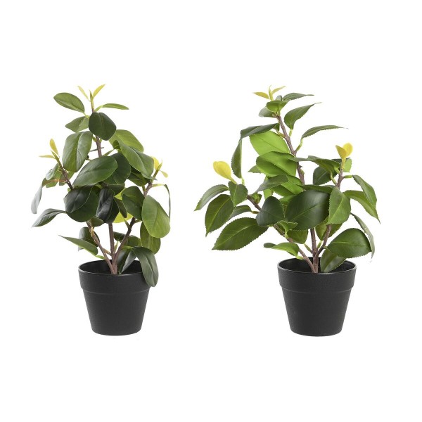 Διακοσμητικό Φυτό DKD Home Decor Πράσινο PP PE Ficus (x2) (21 x 18 x 30 cm)