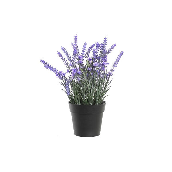 Διακοσμητικό Φυτό DKD Home Decor Λιλά PP PE (15 x 15 x 27 cm)