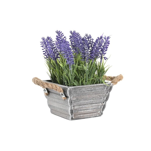 Διακοσμητικό Φυτό DKD Home Decor Ξύλο Λιλά PE (15 x 15 x 20 cm)