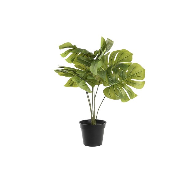 Διακοσμητικό Φυτό DKD Home Decor Monstera Πράσινο PP PE (40 x 30 x 50 cm)
