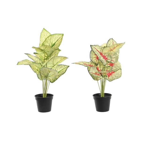 Διακοσμητικό Φυτό DKD Home Decor Κόκκινο Λευκό Πράσινο PP PE (30 x 43 x 54 cm) (x2)