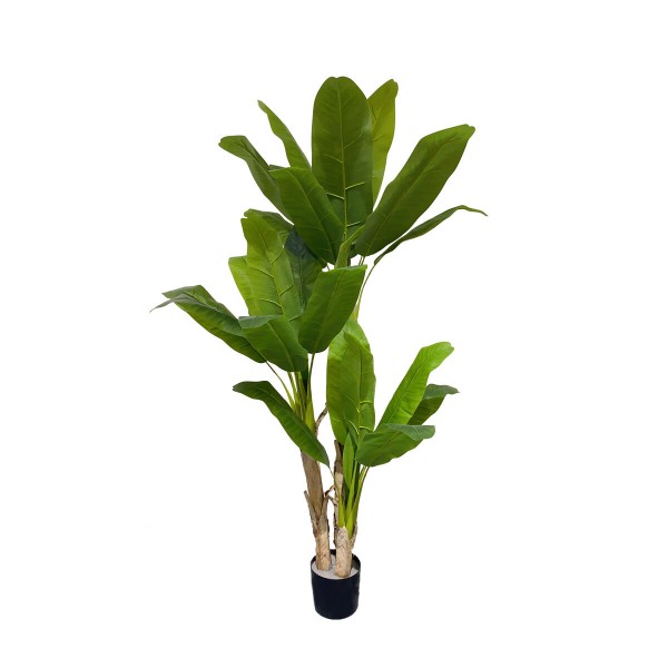 Διακοσμητικό Φυτό DKD Home Decor πολυεστέρας Πράσινο PP Παλάμη (90 x 90 x 200 cm)
