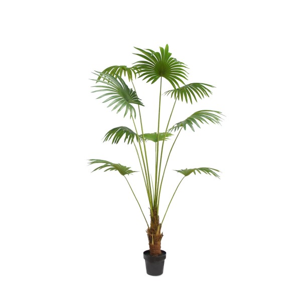 Διακοσμητικό Φυτό DKD Home Decor πολυεστέρας Πράσινο PP (90 x 90 x 210 cm)