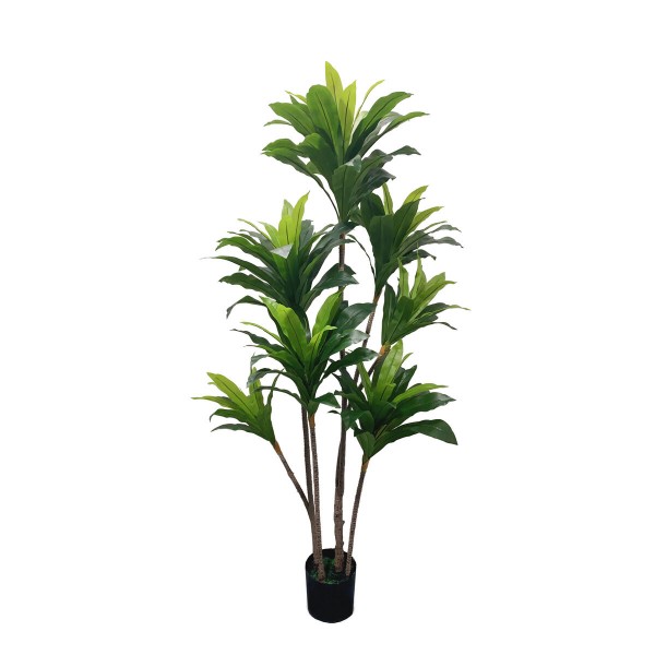 Διακοσμητικό Φυτό DKD Home Decor Dracaena πολυεστέρας Πράσινο PP (90 x 90 x 200 cm)