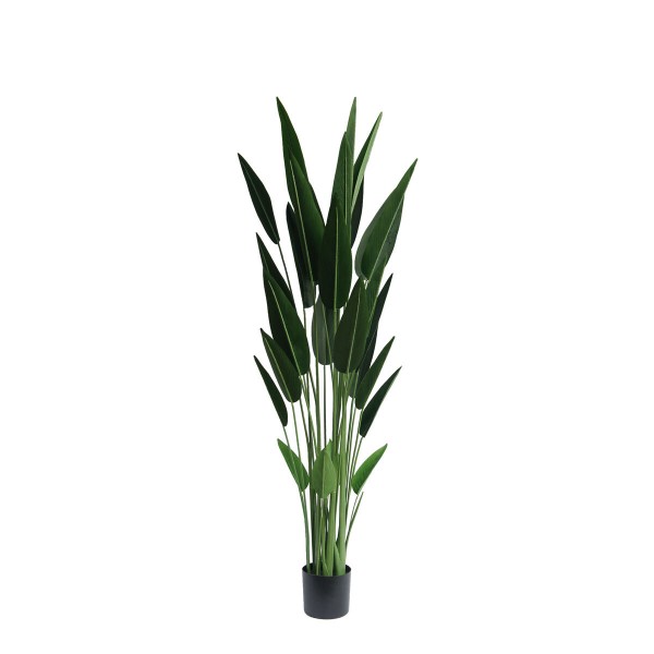 Διακοσμητικό Φυτό DKD Home Decor πολυεστέρας Πράσινο PP (80 x 80 x 180 cm)