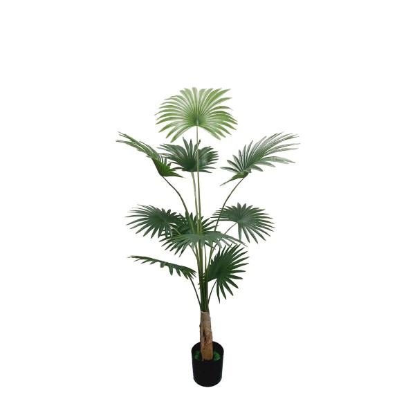 Διακοσμητικό Φυτό DKD Home Decor πολυεστέρας Πράσινο PP (80 x 80 x 180 cm)