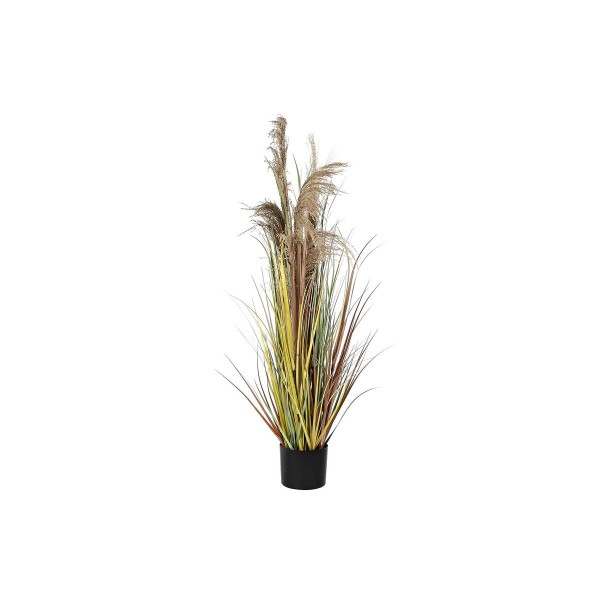 Διακοσμητικό Φυτό DKD Home Decor Μέταλλο Καφέ PVC (35 x 35 x 120 cm)