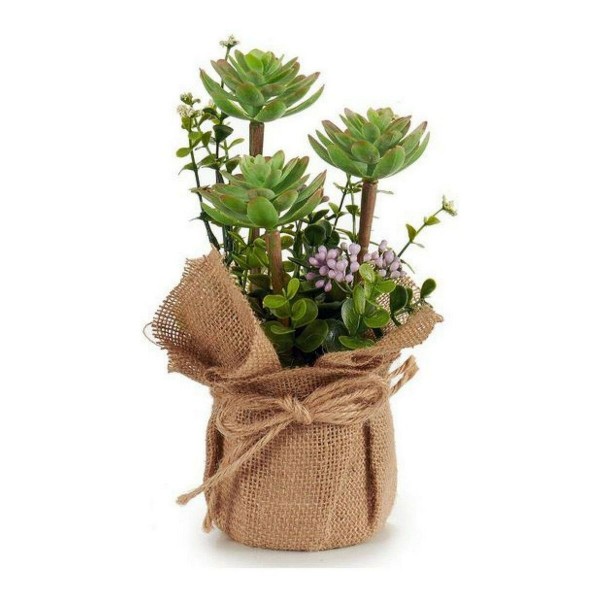Διακοσμητικό Φυτό Πλαστική ύλη Blomster (13 x 25 x 13 cm)
