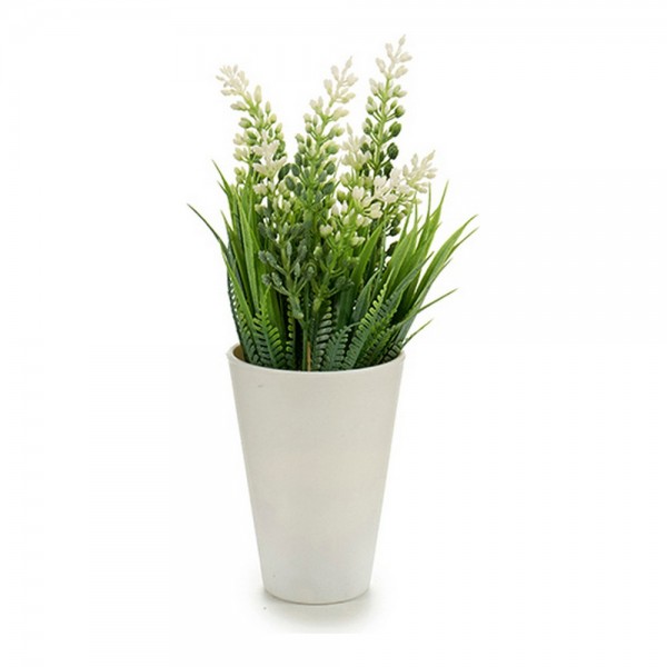 Βάζο Λουλουδιών Διακοσμητικό Φυτό Πλαστική ύλη (10 x 22 x 10 cm)