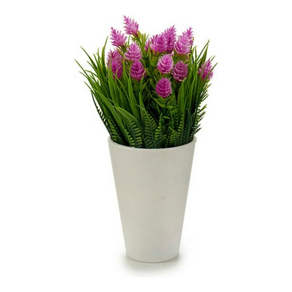Βάζο Λουλουδιών Πλαστική ύλη (13 x 13 x 20)