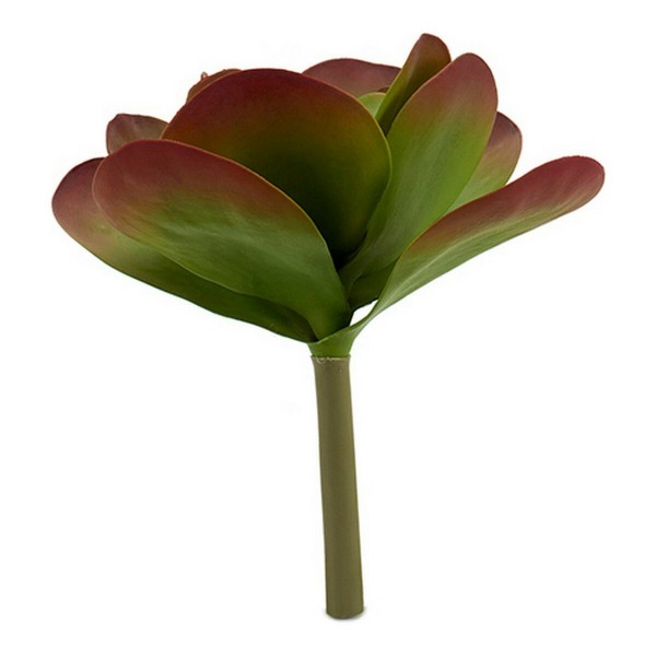 Διακοσμητικό Φυτό (27 x 29 x 27 cm)