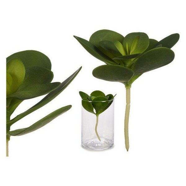 Διακοσμητικό Φυτό Πράσινο Πλαστική ύλη (16 x 25 x 16	 cm) (18 x 23 x 18	 cm)
