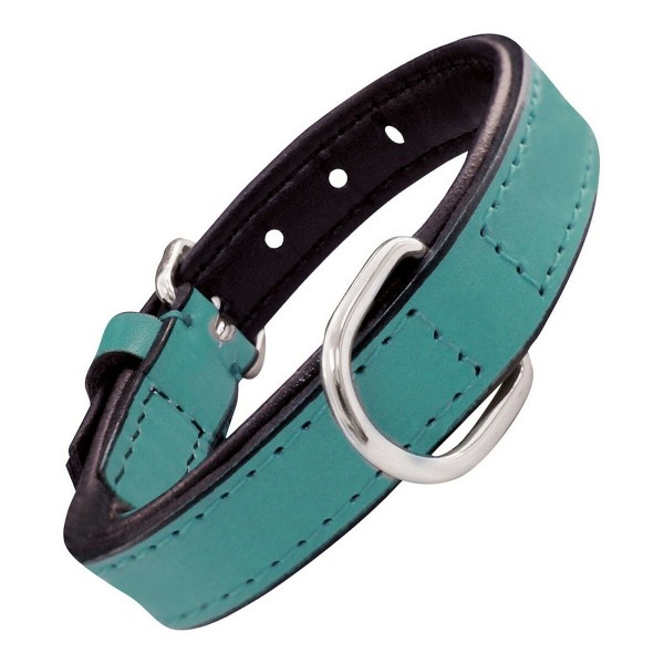 Κολλάρο Σκύλου Gloria Γεμισμένο Turquoise 55 cm (55 x 2,5 cm)
