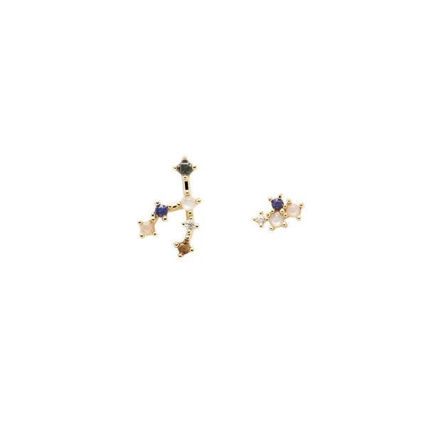 Γυναικεία Σκουλαρίκια PDPAOLA AR01-406-U 2 cm