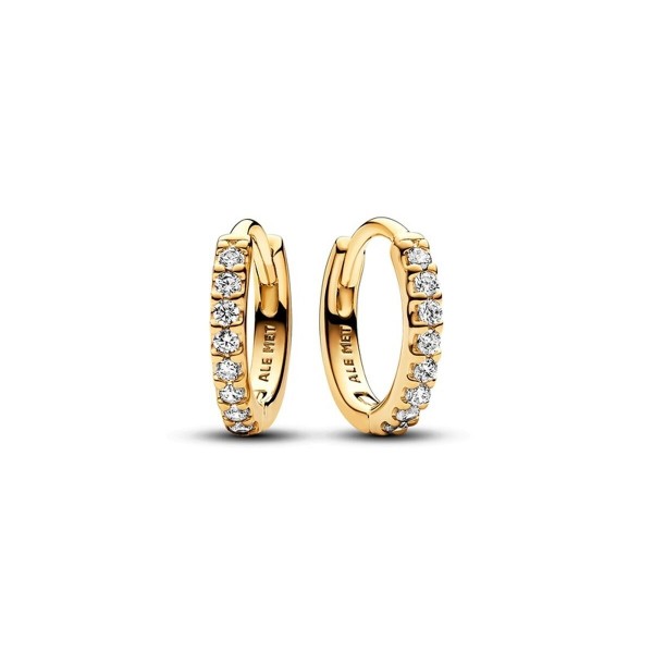 Γυναικεία Σκουλαρίκια Pandora 263015C01